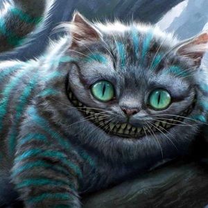 Meet your Posher, Kari